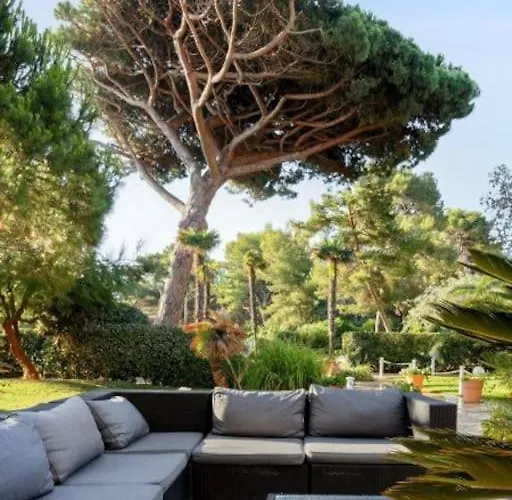 Superbe 50m De La En Bord De Apartamento *