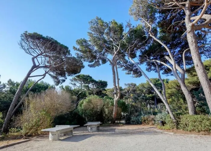 Apartamento Superbe 50m De La En Bord De *