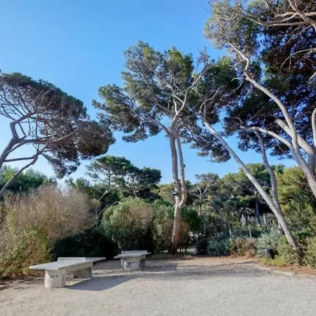 Appartement Superbe 50m De La En Bord De *